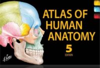 atlas of human anatomy 3rd edition