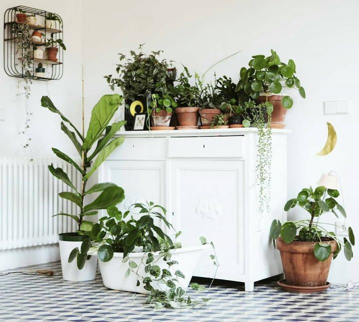 petit meuble pour plantes d’intérieur