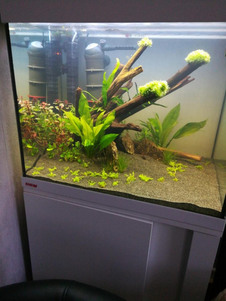 aquarium 150 litres avec meuble