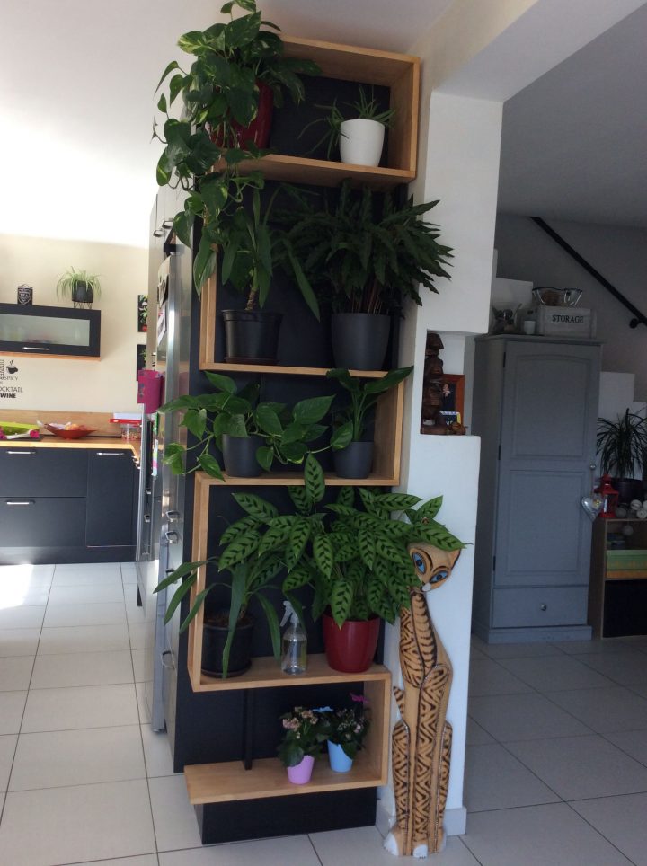 meuble plantes d intérieur