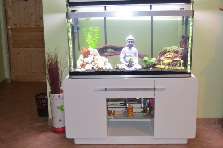 meuble pour aquarium pas cher