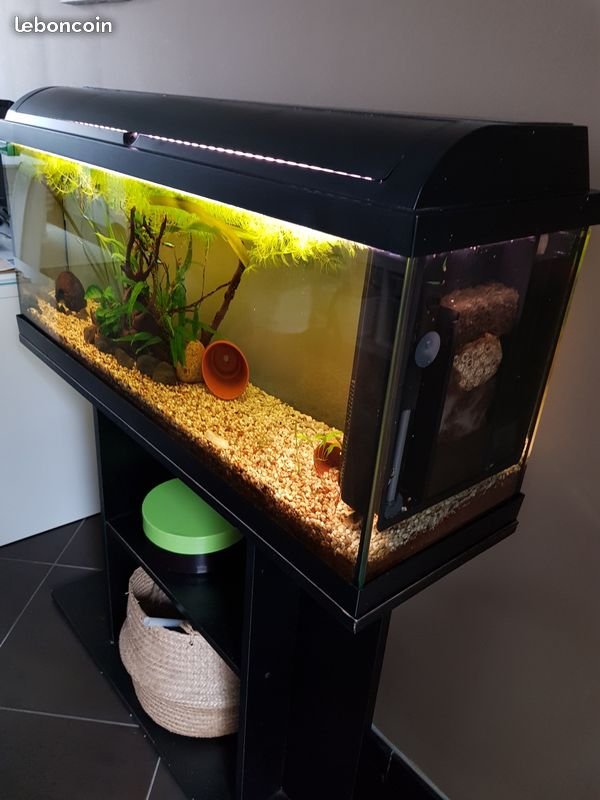 aquarium 100l avec meuble