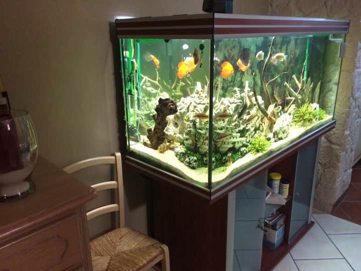 aquarium complet avec meuble