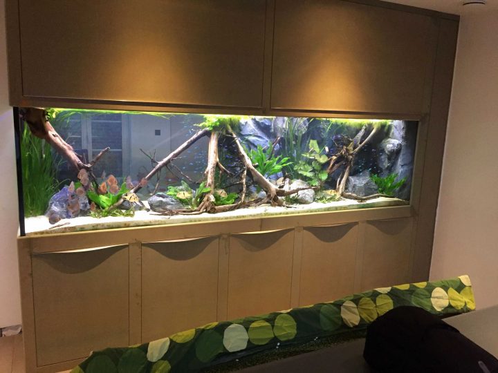 100 Concept Meuble Aquarium Pas Cher destiné Aquarium Meuble Pas Cher