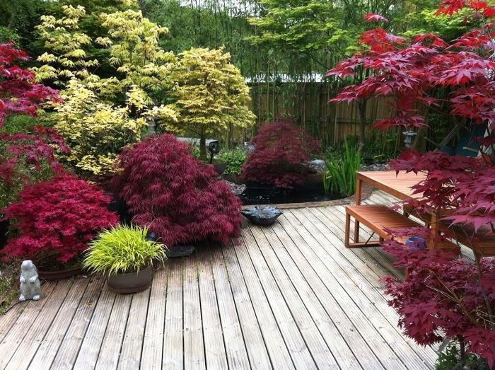 1001 + Conseils Et Idées Pour Aménager Un Jardin Zen intérieur Arbre Pour Petit Jardin