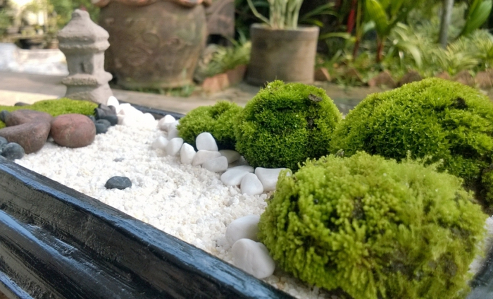 1001+ Conseils Pratiques Pour Une Déco De Jardin Zen avec Modele De Jardin Avec Galets