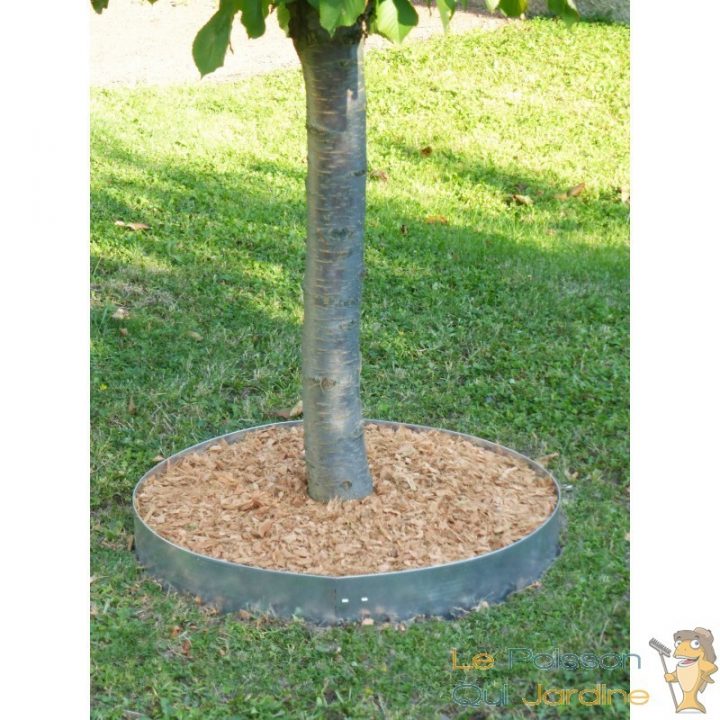 40 M De Bordures En Acier Pour Jardin. A Planter. Bordure avec Bordure Metal Pour Jardin