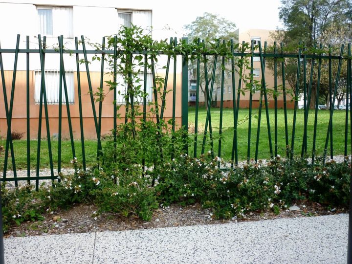 74 Beau Photos De Fontaine De Jardin Castorama avec Fontaine Murale Castorama