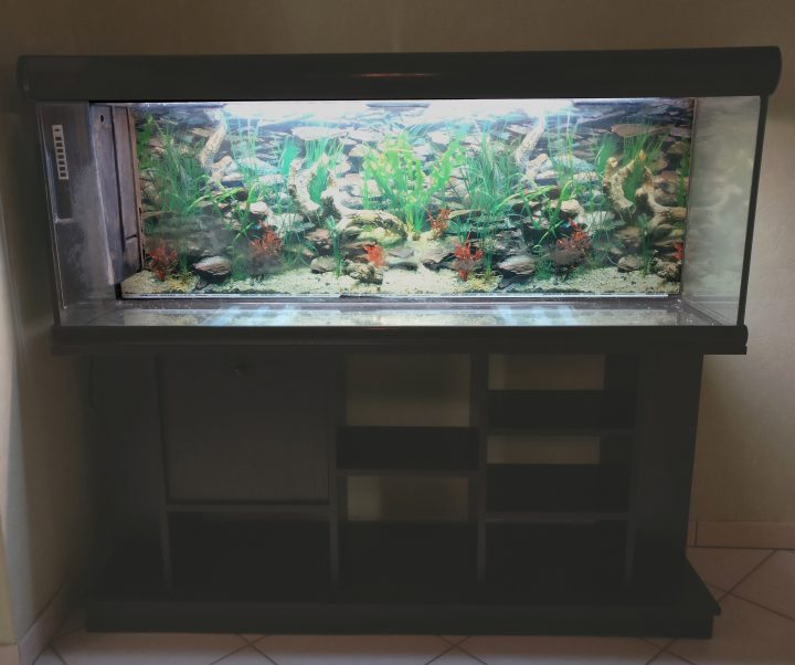 87 Idées De Design Aquarium Meuble Pas Cher dedans Aquarium Meuble Pas Cher