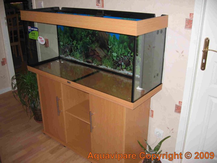 aquarium 240l avec meuble