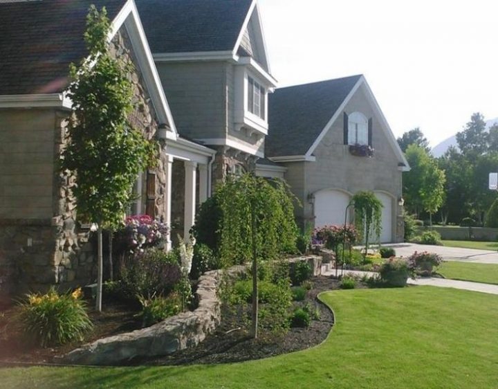 Arbre Pour Petit Jardin- Les Variétés À Petit intérieur Arbre Pour Petit Jardin