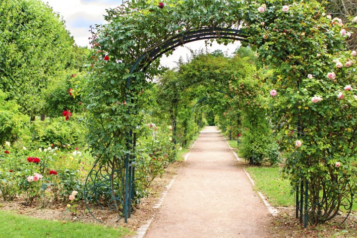 Arche De Jardin : Matériau Et Prix – Ooreka dedans Arceau De Jardin