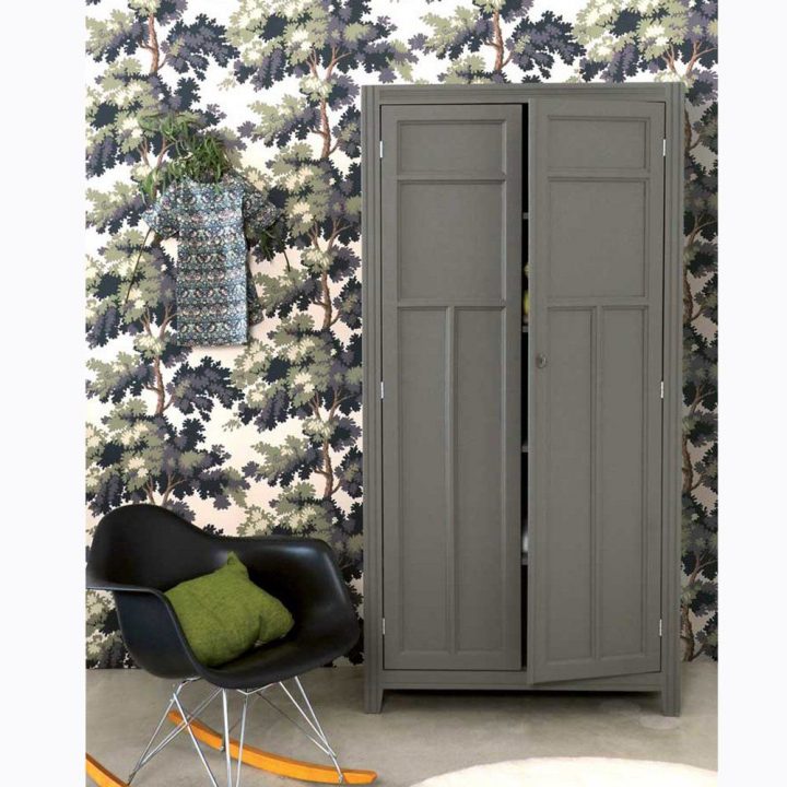 Armoire Enfant Laurette Gris Cendré Avec Penderie. Cette intérieur Meuble Laurette