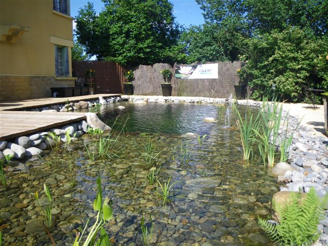 Bassin De Jardin Plantes Aquatiques – Bassin De Jardin à Plante Bassin De Jardin