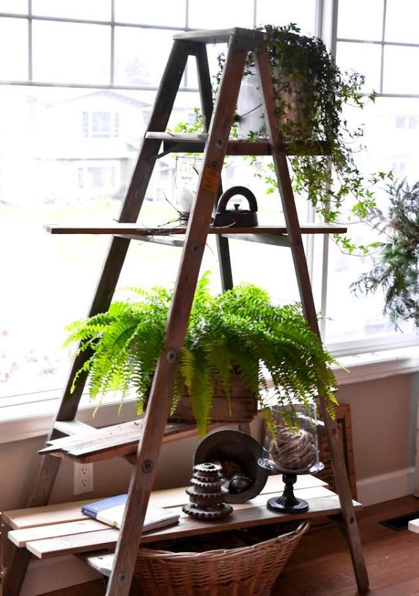 Bricolage De Jardin: Étagère Porte-Plantes En Vieil Escabeau encequiconcerne Escabeau Jardin