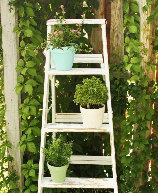 Bricolage De Jardin: Étagère Porte-Plantes En Vieil Escabeau pour Escabeau Jardin