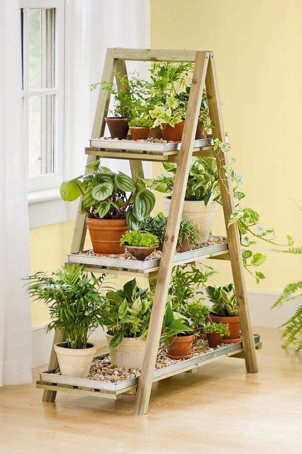 Bricolage De Jardin: Étagère Porte-Plantes En Vieil intérieur Escabeau Jardin