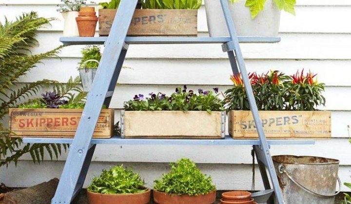 Bricolage De Jardin: Étagère Porte-Plantes En Vieil tout Escabeau De Jardin