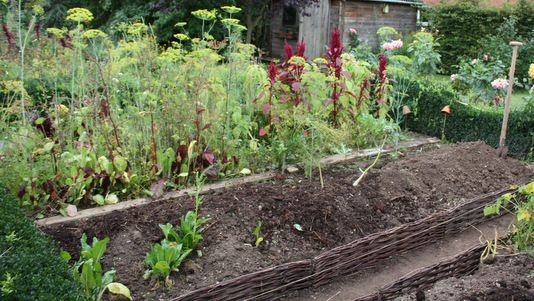 Butte En Permaculture | Jardin Permaculture, Permaculture intérieur Exemple Plan Potager Permaculture