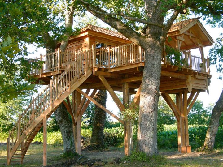 Cabane Arbre | Cabane Spa, Cabane Perchée, Cabane Dans Les à Plan Cabane De Jardin