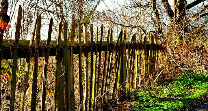 Clôturer Son Potager Avec Une Ganivelle : La Clôture Tendance dedans Cloturer Son Jardin