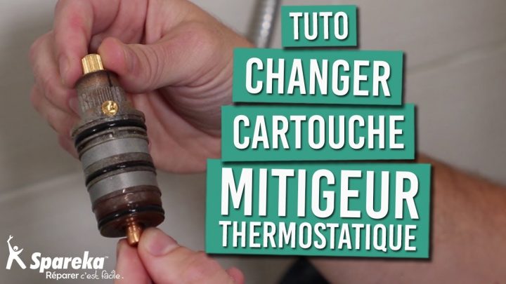 Comment Changer Les Cartouches De Votre Mitigeur Thermostatique De Douche destiné Cartouche Thermostatique Douche