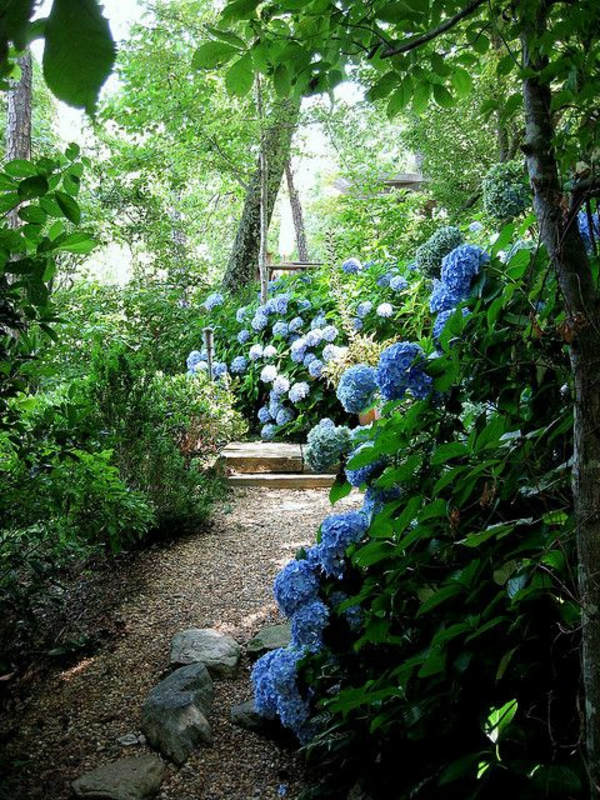 Créer Le Plus Beau Jardin Avec Le Gravier Pour Allée avec Idee Deco Jardin Gravier