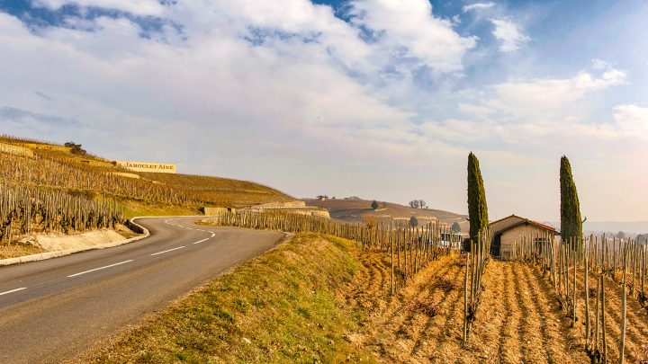 Der Syrah-Keller Von Hermitage: Cave De Tain – Mein Frankreich avec Chambre D Hote Tain L Hermitage