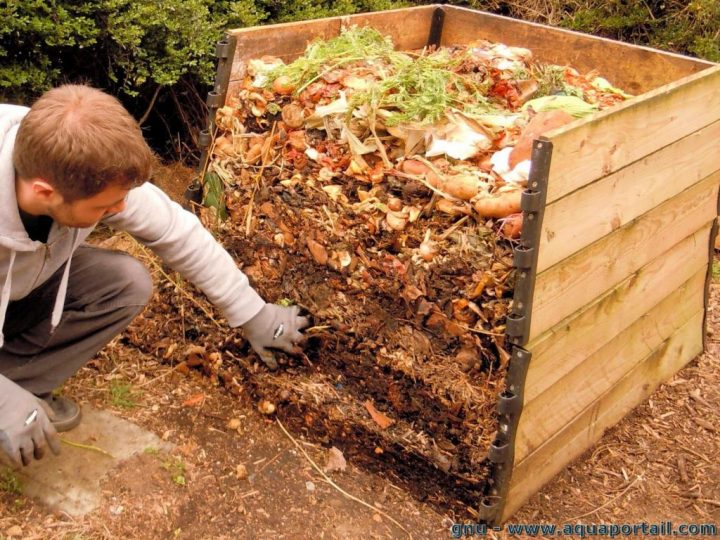 [Dossier] Le Compost Pour Les Nuls – Trucs Et Astuces avec Composteur De Jardin