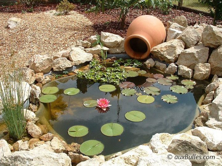 Épinglé Sur Bassin De Jardin avec Plante Bassin De Jardin