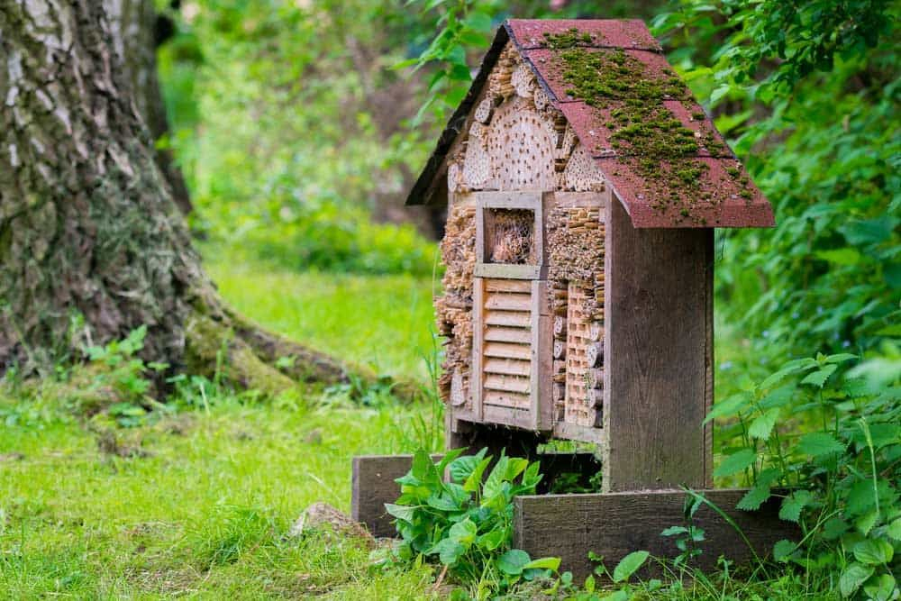 Épinglé Sur Jardinage serapportantà Maisonnette En Bois Family