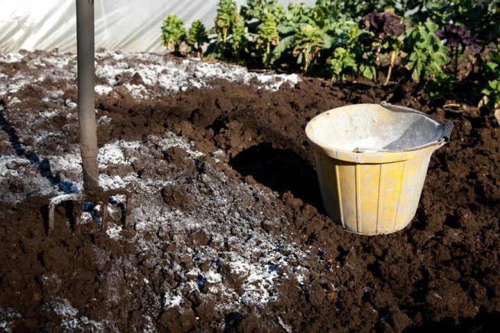 How To Add Lime To Acidic Soil | Organic Gardening encequiconcerne Chaux Jardin