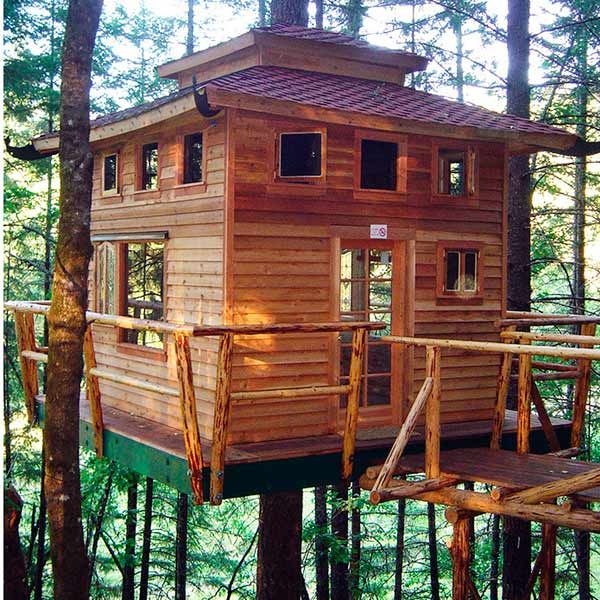 How To Build A Tree House | Cabane Bois Dans Un Arbre destiné Maisonnette En Bois Family