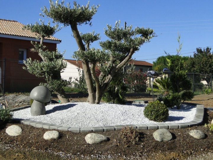 Image Associée | Jardins, Jardin Potager destiné Idee Massif Mediterraneen