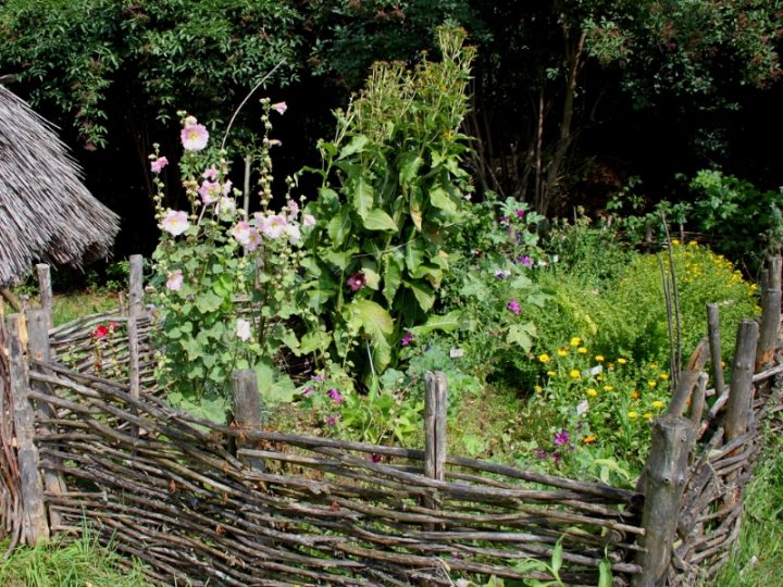 La Permaculture Au Jardin tout Exemple Plan Potager Permaculture