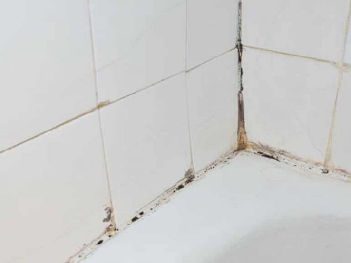 La Technique Ultime Pour Nettoyer Les Joints De Carrelage avec Blanchir Joint Salle De Bain