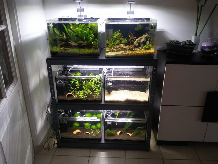 Meuble Supportant 4 À 6 Aquariums Type Nano Au Moins Cher pour Aquarium Meuble Pas Cher