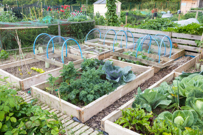 Mode D'Emploi Des Jardins Potagers Surélevés avec Chalet De Jardin.fr