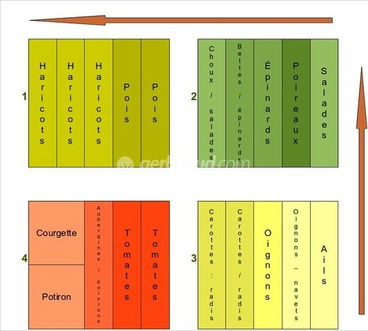 Modèles De Rotation Des Cultures Au Potager | Plan Potager à Exemple Plan Potager Permaculture