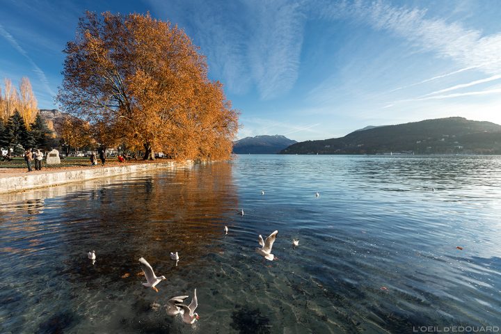 Photos D'Annecy Et Ses Canaux – Blog Voyage Trace Ta Route dedans Les Jardins Du Château Annecy