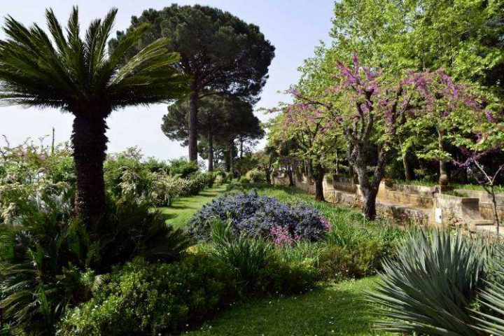 Plantes Et Aménagement Jardin Méditerranéen – 79 Idées serapportantà Idee Massif Mediterraneen