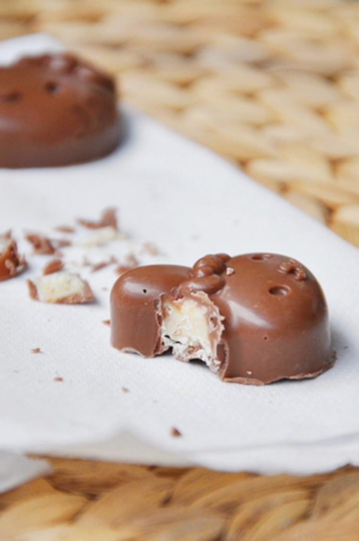 Recette De Chocolats Maison, Fourrés Chocolat Blanc Et à Pralin Jardin