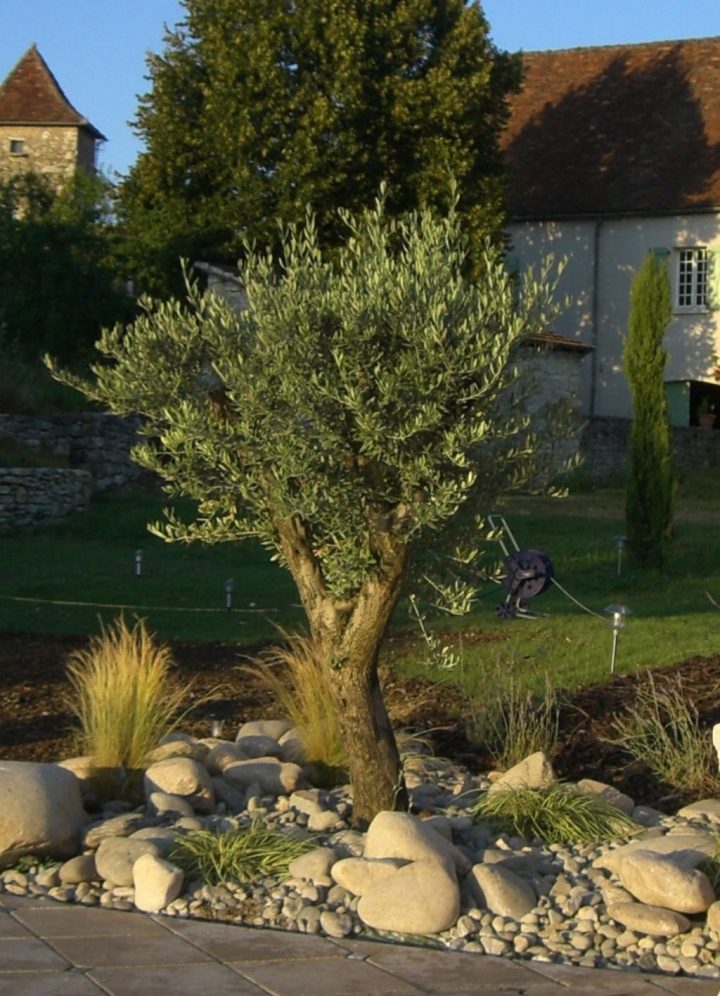 Rocaille Mediterraneenne | Jardins, Jardin Paysager Et concernant Idee Massif Mediterraneen