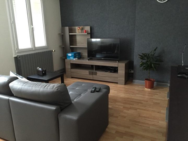 Saint-Etienne – Appartement T3 Meublé 56 M² avec Location Appartement Meublé Saint Etienne