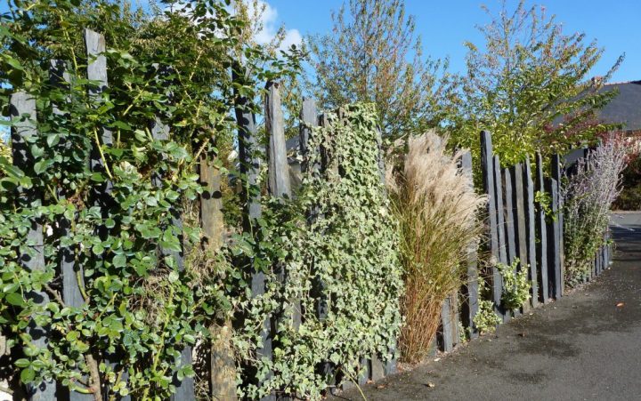 Séparation D'Allées En Schiste Et Plantes tout Separation De Jardin