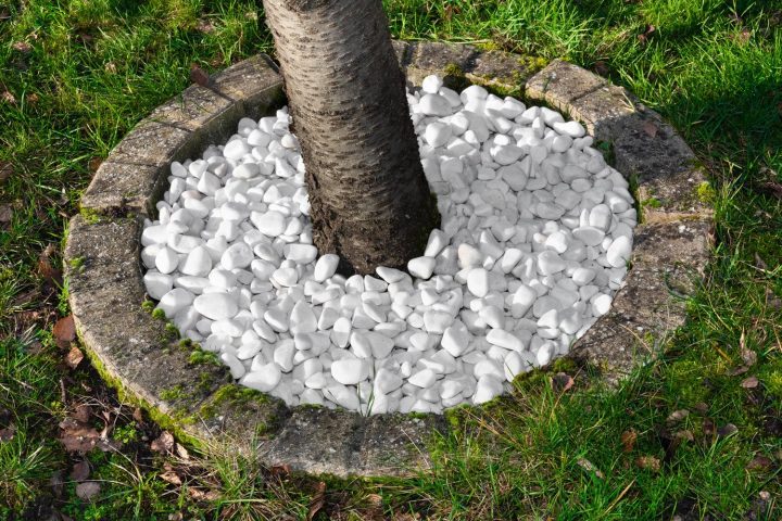 Une Allée Pour Le Jardin Avec Dalles En Ardoise Et concernant Jardin Avec Galets Blancs