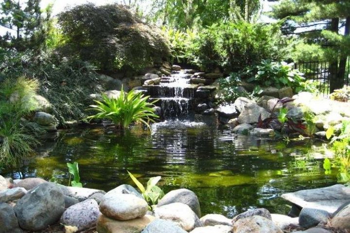 Aménager Une Cascade Ou Une Fontaine Sur Son Bassin De pour Cascade De Jardin