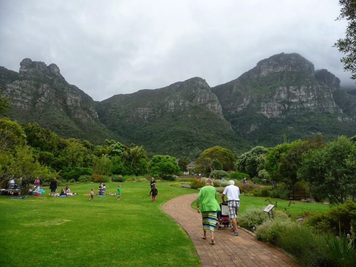 Cape Town Et L'Afrique Du Sud: Le Plus Beau Jardin D'Afrique intérieur Jardin Du Sud