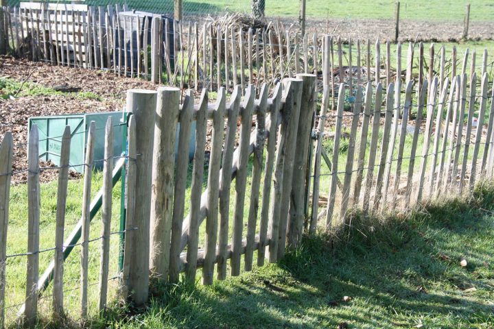 Comment Trouver Des Idées De Clôtures Par Trop Chères Pour serapportantà Clôture Jardin Pas Cher