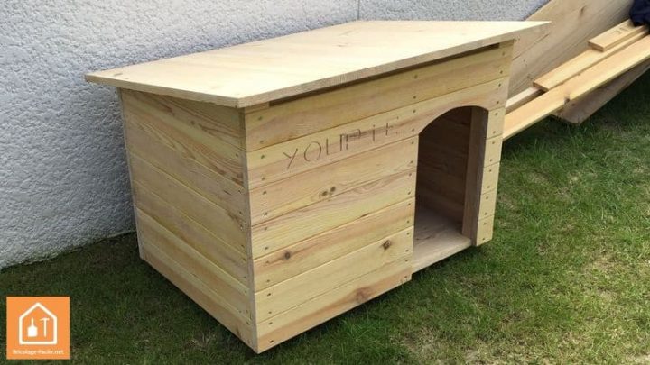 Fabriquer Une Cabane Pour Chat Exterieur intérieur Niche Chat Extérieur